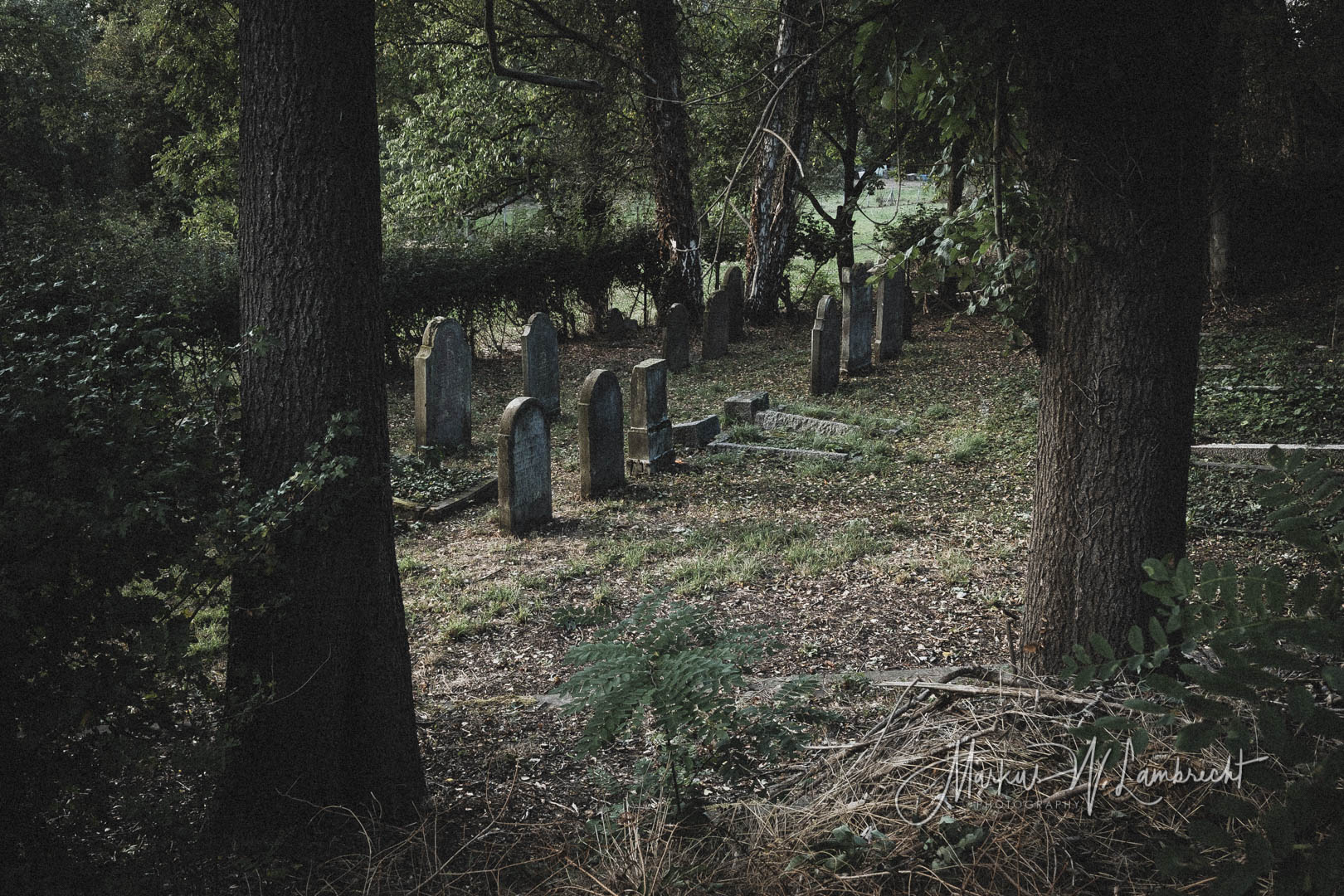 Lauenförde, Jüdischer Friedhof